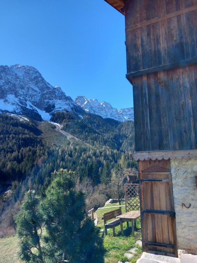 Chalet La Rite Dolomiti Masarie Buitenkant foto